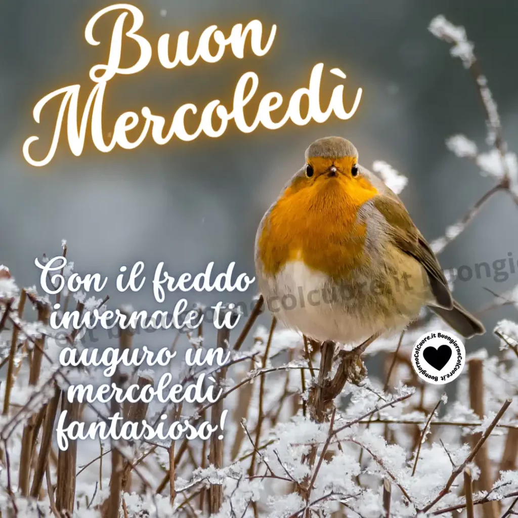 Col freddo invernale ti auguro un Buon Mercoledì speciale!