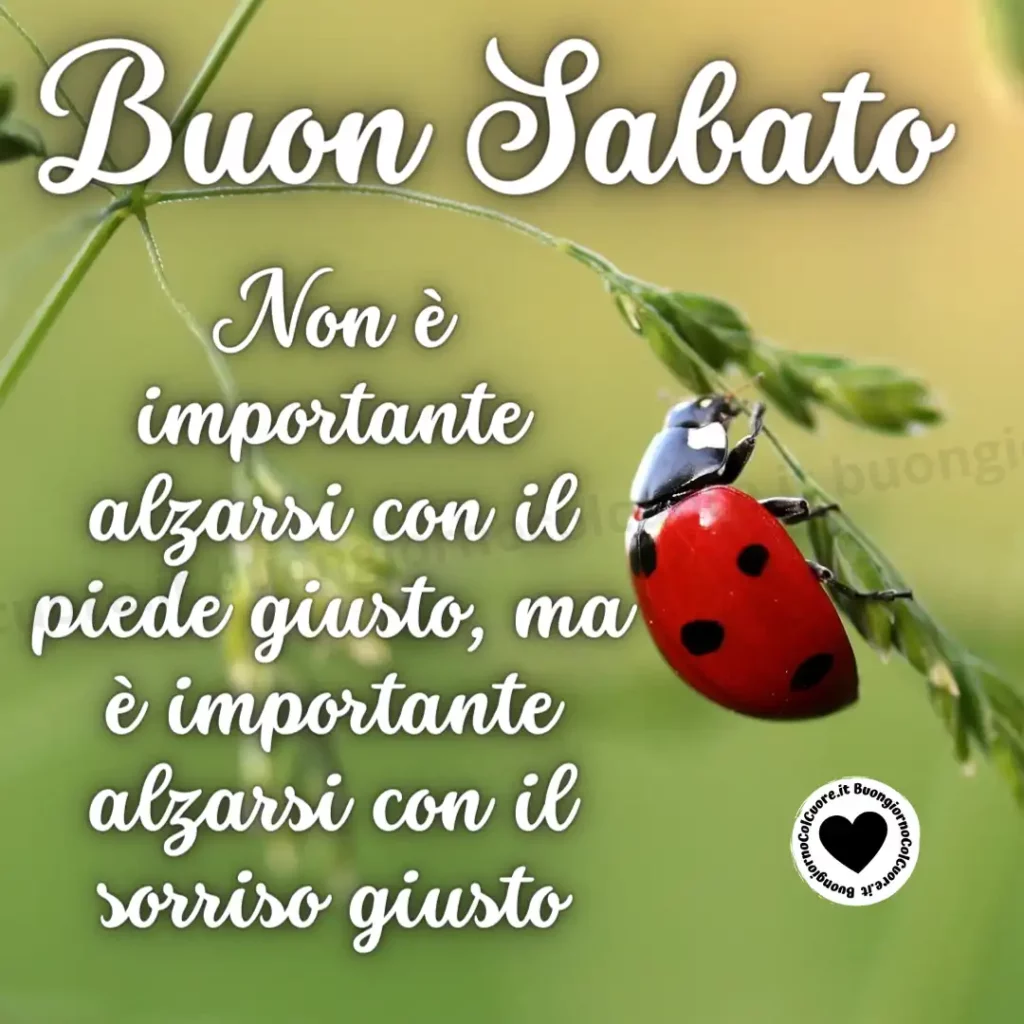 Non è importante alzarsi col piede giusto. Buon Sabato!