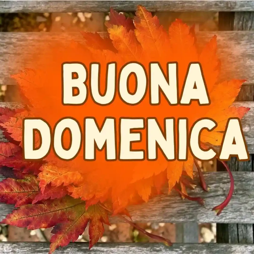 Buona Domenica autunnale con gioia ed allegria per tutti!