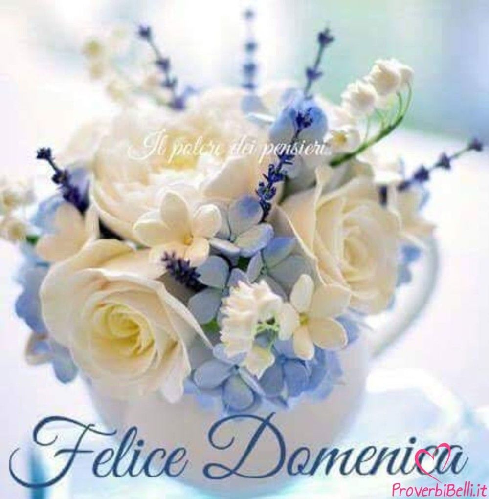 Buongiorno Domenica Buona Immagini Per Whatsapp Buongiornocolcuore