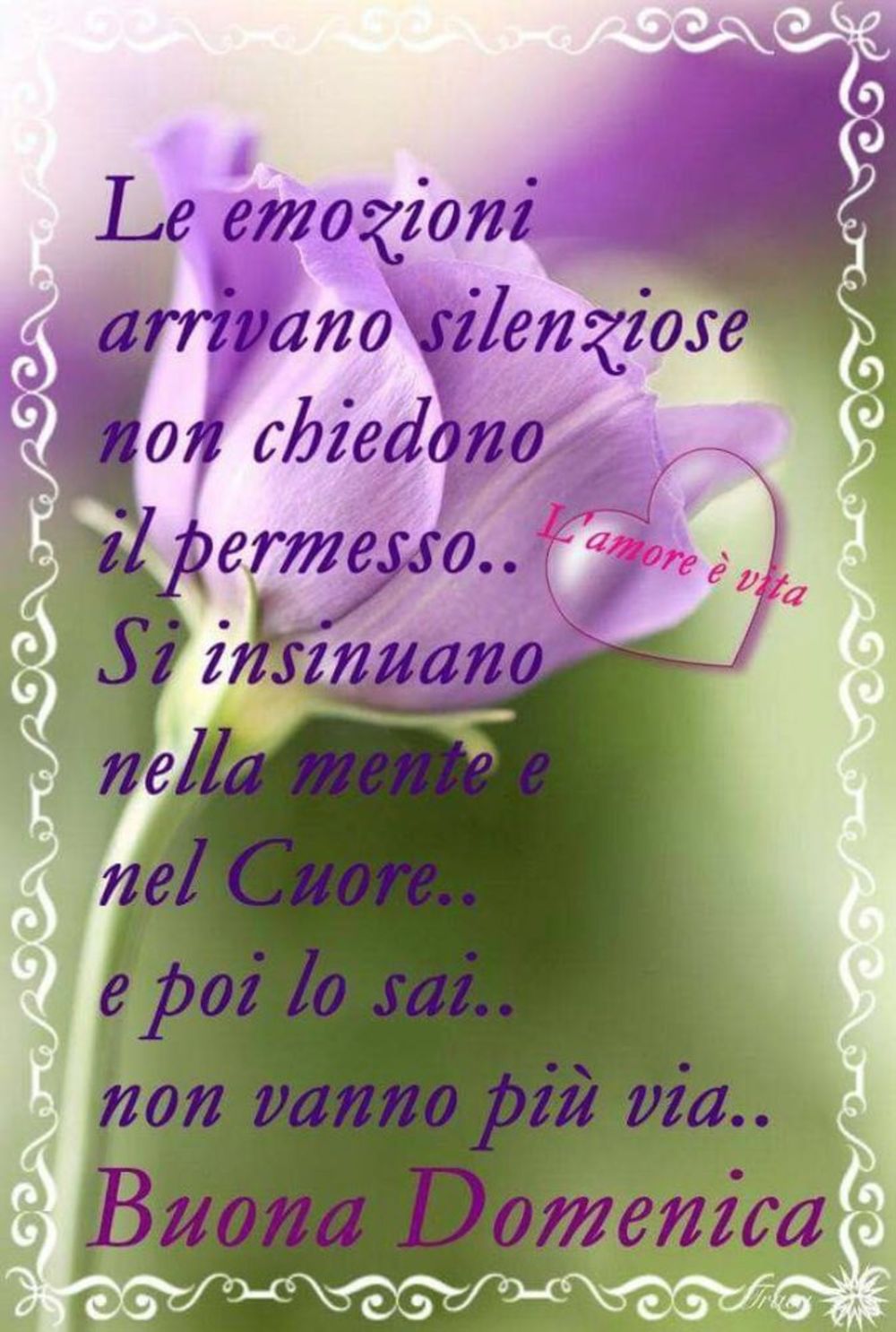 Buongiorno Domenica Buona Immagini Per Whatsapp Buongiornocolcuore