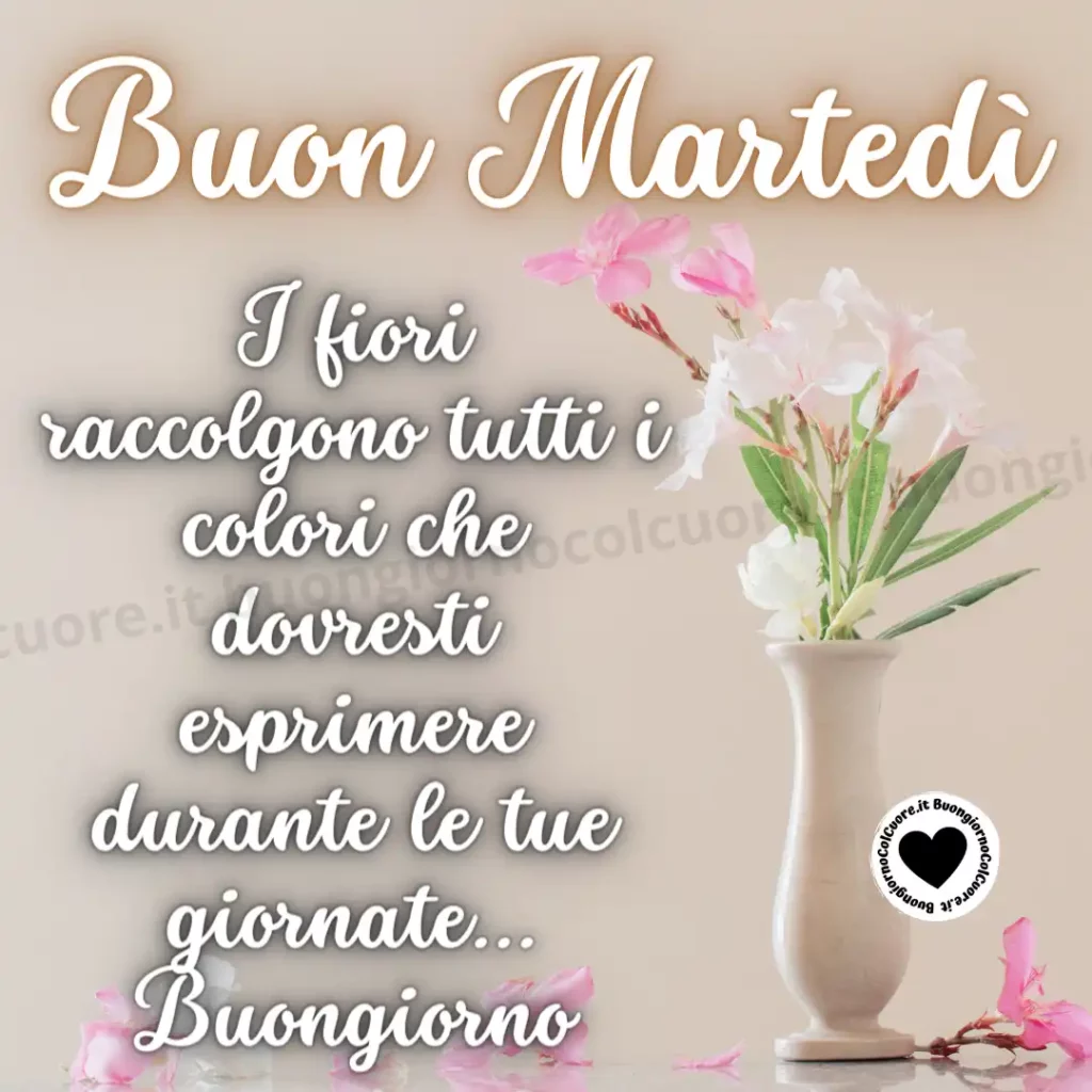 immagini-buon-martedì-11